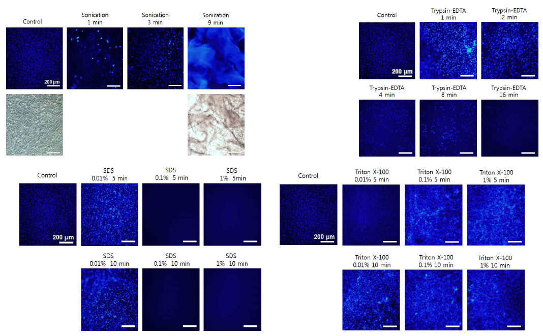 Sonication 시간, Trypsin-EDTA, SDS, Triton X-100의 처리 시간 및 농도 조절을 통한 세포 제거 조건 최적화