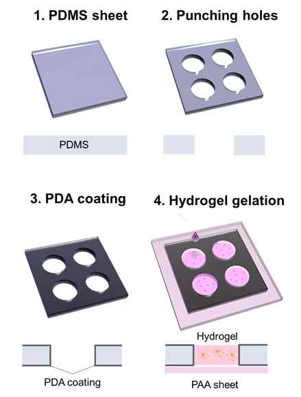 Window frame 기법을 이용한 hydrogel gelation