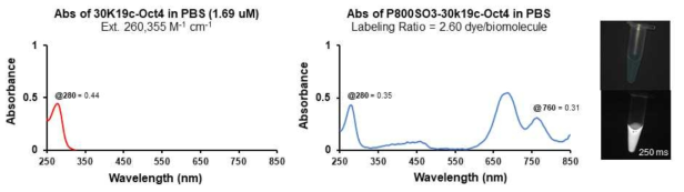 P800SO3가 결합됨에 따라 달라지는 빛 흡수력