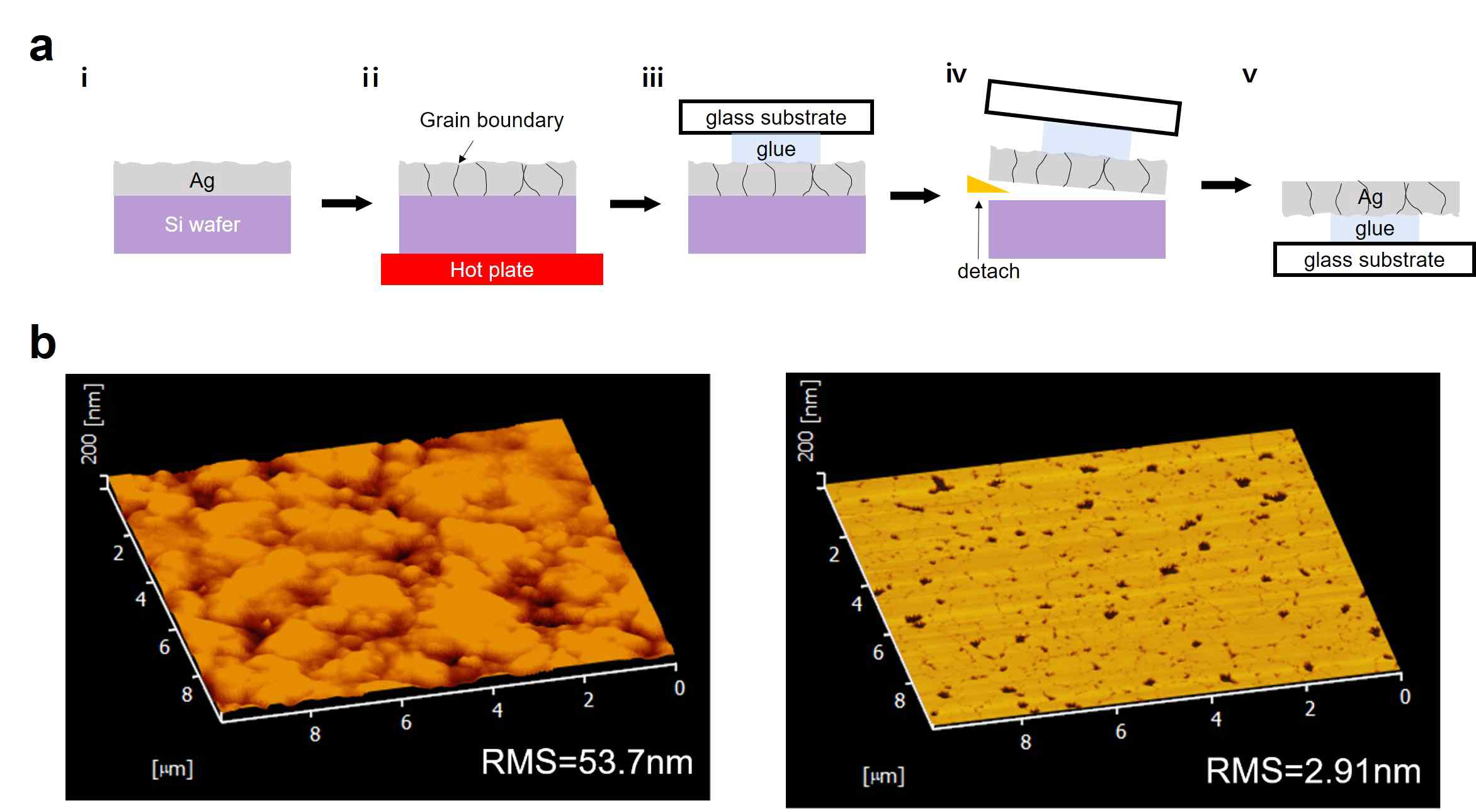 grain boundary와 nanogroove 가 생성된 Ag film의 제작 메커니즘과 표면 거칠기의 차이