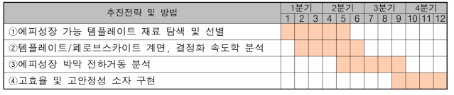 연구기간 별 추진 전략 및 일정