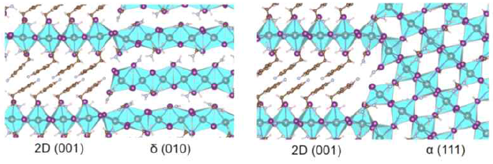 2D/3D 페로브스카이트의 로컬에피성장 계면 모식도(Nat. Commun., 2020, 11, 5514)