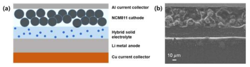 (a) NCM811 | 고체전해질 | 리튬 금속 전고체전지 모식도. (b) 해당 cell의 단면 주사전자현미경 이미지