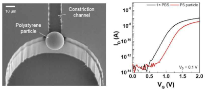 Constriction channel에 위치한 polystyrene particle과 EGFET 특성 변화 (Vth shift)