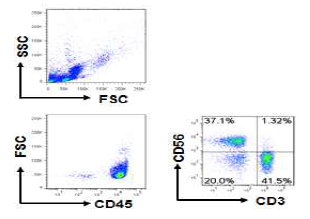 CD45+/CD3+ 발현 확인