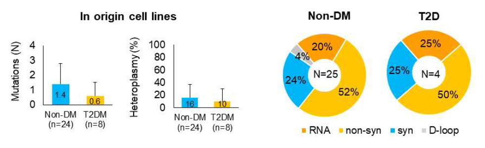 비 당뇨환자와 2형 당뇨환자유래 origin cells의 mtDNA mutation 분석