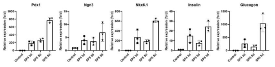 주요전사인자 및 인슐린 글루카곤 유전자 발현 양상 확인