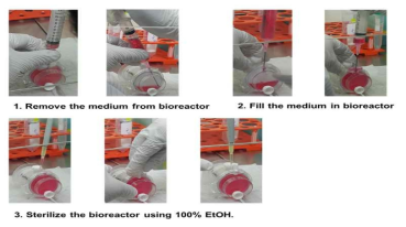 EBs을 이용한 Microgravity rotatory 3D culture