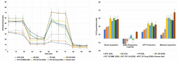 iPSC의 분화단계에 따른 미토콘드리아 기능 평가 (Seahorse assay)