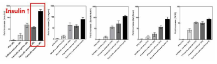 iPSC부터 분화 유도 후 2차원 배양방법과 spheroid를 이용한 3차원 배양에서 췌장 endocrine 세포 및 exocrine 세포 인자 발현 확인