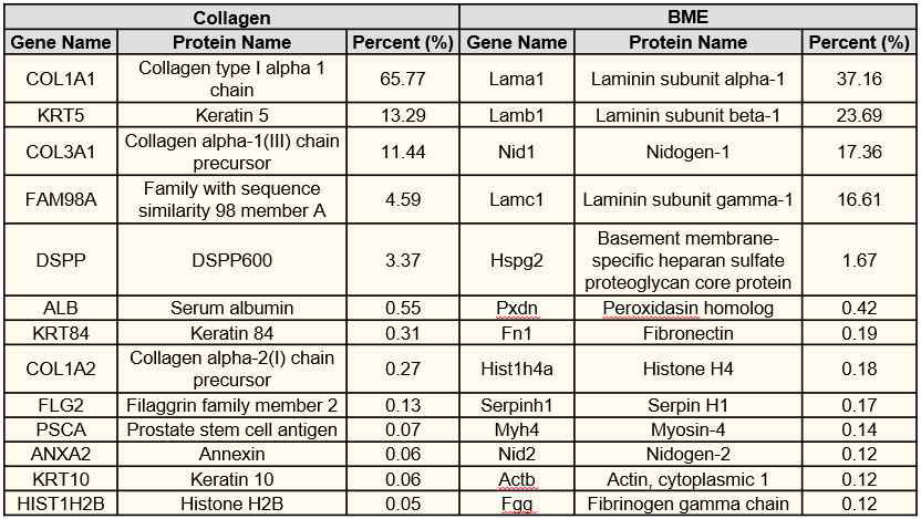 BME와 type I collagen hydrogel의 세포외 기질 단백질 조성에 관한 프로테오믹스 분석