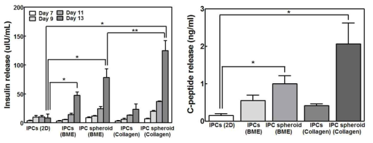 인슐린 생성세포의 배양조건에 따른 인슐린 및 c-peptide 분비능 비교