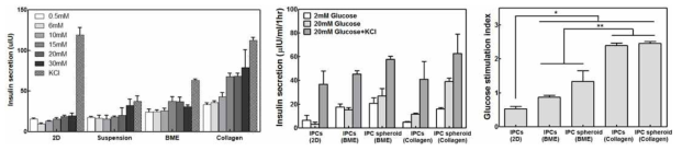 글루코즈 농도의 증가에 따른 인슐린 분비량의 변화 (Glucose stimulated insulin secretion:GSIS)