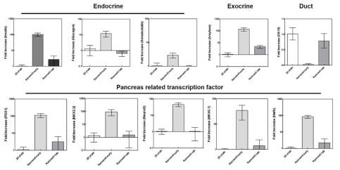 iPSC 분화 단계별로 nanofibrous concave well에 배양하여 3차원 구조 형성 시기에 따른 분화능을 비교하기 위하여 췌장관련 유전자 및 전사인자의 발현 확인 (qPCR)