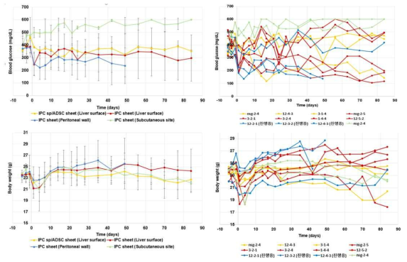 인슐린 생성세포 시트의 피하, 간표면, 복막 이식 후 혈당 및 몸무게 변화