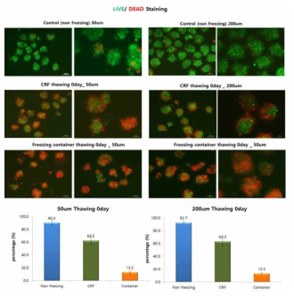 세포를 녹인 후 LIVE/DEAD 확인