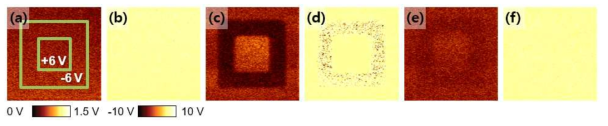 준비된 HZO 박막에서의 box-pattern 모양의 poling에 따른 PFM (a,c,e) amplitude와 (b,d,f) phase 이미지: (a-b) 전, (c-d) 직후, (e-f) 30분 후