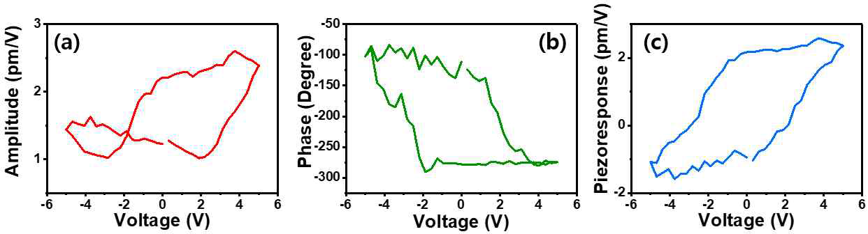 준비된 HZO 박막에서의 PFM (a) amplitude와 (b) phase hysteresis loop 및 (c) PFM hysteresis loop 측정 결과