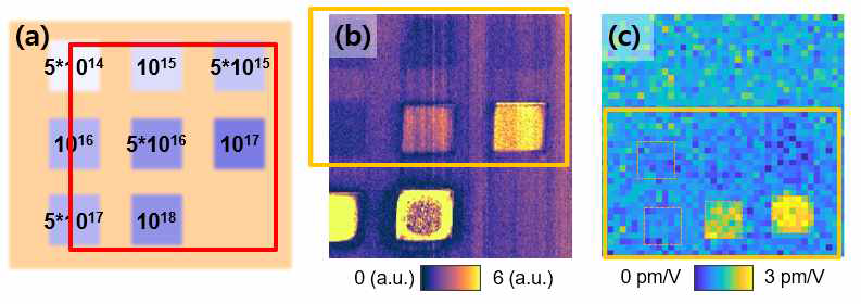 (a) 이온 빔 조사에 대한 dose 조건을 나타내는 모식도 (단위: ions/cm2). (b) 이온 빔 조사 후 (a)의 빨간 박스 영역에서 측정된 PFM amplitude 이미지. (c) 이온 빔 조사 후 측정한 effective d33 측정 mapping 결과. (b)와 (c)의 주황색 박스는 같은 영역을 의미함