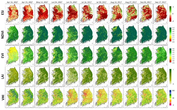 2017년 시계열 가뭄지도 (ESI, NDVI, EVI, LAI, VHI)