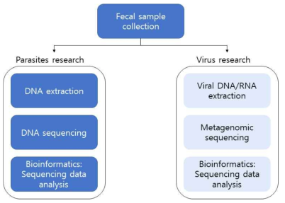 Schematic diagram of research contents