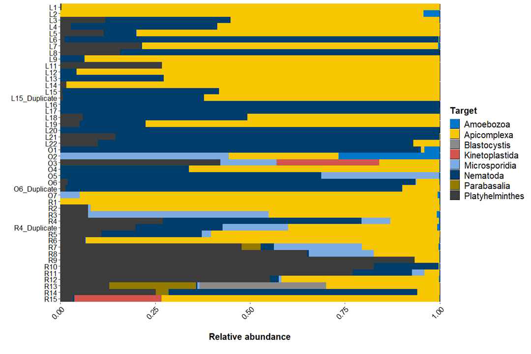 Relative abudance of targeted taxa across the fecal samples of three different animals. L, O, and R stand for Leopard cat (Prionailurus bengalensis), Otter (Lutra lutra), and Raccoon dog (Nyctereutes procyonoides)