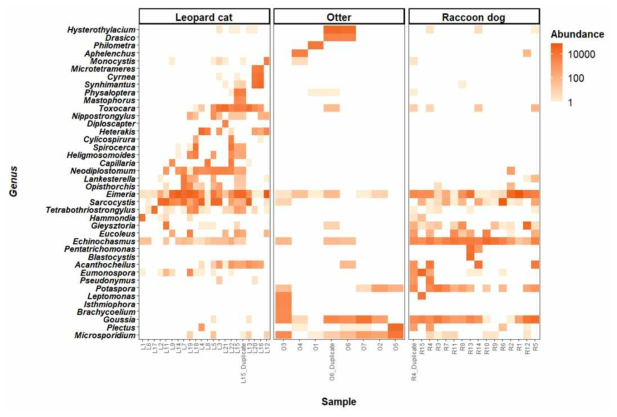 The most abundant 40 targeted taxa in genus level detected across the fecal samples of three different animals. the undetected genera were shown as white