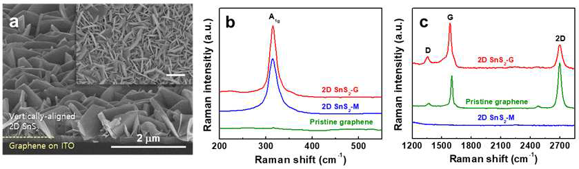 (a)그래핀/ITO 상에서 저온 성장된 SnS2 나노시트의 SEM 사진. (b), (c) 그래핀, SnS2, SnS2/그래핀 샘플의 라만 스펙트럼