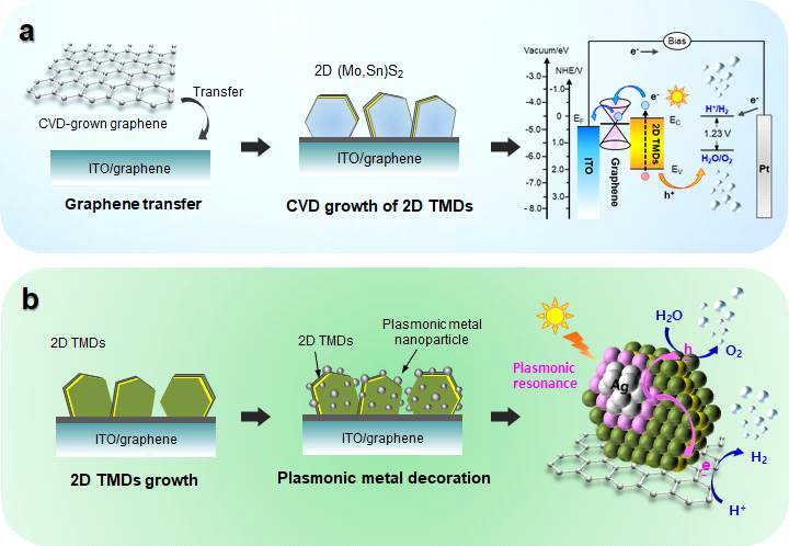 (a) 그래핀/2D (Mo,Sn)S2 이종접합 구조 제조 및 PEC 전지 동작원리 개략도, (b) 그래핀/2D TMDs/금속나 노입자 다중접합구조 제조 및 PEC 전지 개략도와 물분해 수소생성 원리