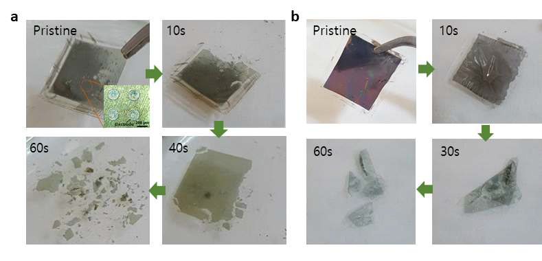 소자의 Degradation 과정, 두 용액 속에서 모두 1분안에 녹아 없어지는 모습을 확인할 수 있다. a. DI water, b. PBS
