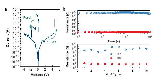 인체삽입형 Y7C 멤리스터의 전기적 특성 a. IV 특성 b. Retention 특성 (위) 및 Cycle 특성 (아래)