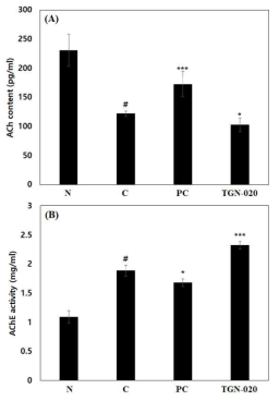 The ACh content and AChE activity on scopolamine-induced memory impairment in Balb/cJ mice depending on AQP4 inhibition(N: normal, C: control, PC: donepezil(5 mg/kg), TGN-020(200 mg/kg))