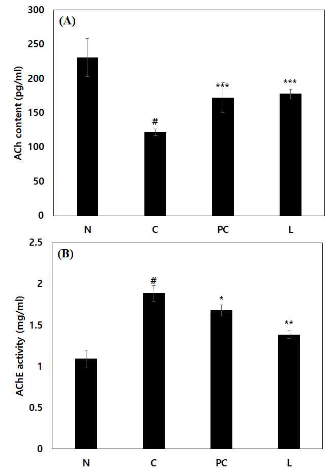 The ACh content and AChE activity of L-theanine on scopolamine-induced memory impairment in Balb/cJ mice(N: normal, C: control, PC: donepezil (5 mg/kg), L: L-theanine (4 mg/kg))