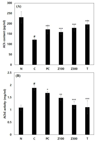 The ACh content and AChE activity of Z. latifolia ethanol extract or tricin on scopolamine-induced memory impairment in Balb/cJ mice(N: normal, C: control, PC: donepezil(5 mg/kg), Z100: Z. latifolia ethanol extract(100 mg/kg), Z300: Z. latifolia ethanol extract(300 mg/kg), T: tricin(0.3 mg/kg))