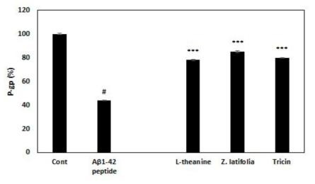 The P-gp contents of L-theanine, Z. latifolia ethanol extract or tricin on Aβ1-42 peptide-treated human epithelial cells. L-theanine (500 μg/ml), Z. latifolia ethanol extract (500 μg/ml), tricin (0.5 μg/ml)