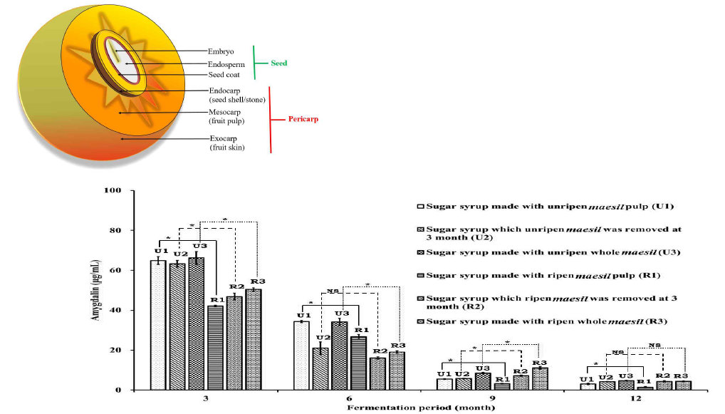 Total quantity of amygdalin in maesil sugar syrups during the one-year fermentation. *: significant difference, NS: not significant difference