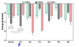 6개의 CDR 의 표적단백질에 대한 결합 에너지 분석 (화살표, 가장 결합력이 높은 펩타이드 P1)