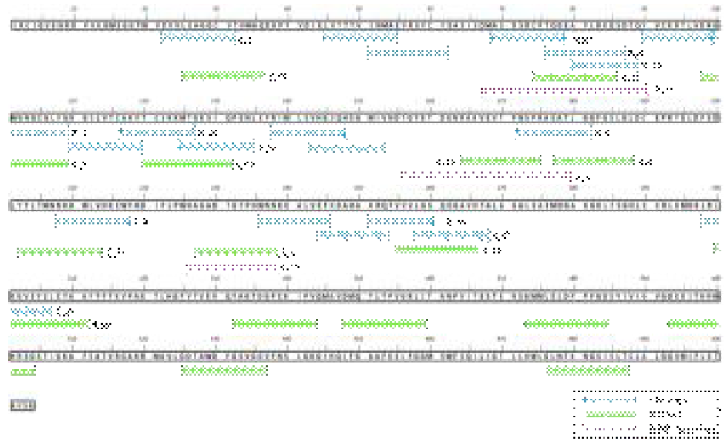 Epitope 예측 프로그램 (ABCpred, BCPred, IEDB-BepiPred)에 의해 예측된 epitope 서열