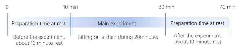 Experimental protocol timeline