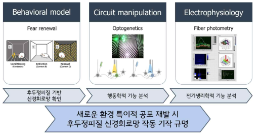 연구 목표 및 실험과정 모식도