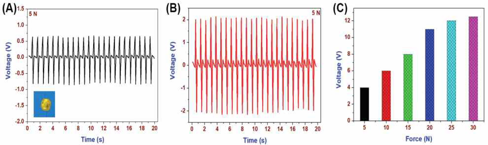 전기방사법에 의한 PVDF 및 NaNbO3/PVDF 나노섬유 분리막의 압전 특성