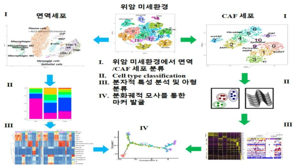 1차년도 분석 내용