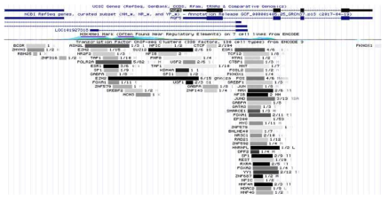 UCSC Genome Browser에서 AQP5 프로모터 결합 전사인자 분석 결과