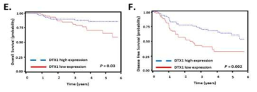 DTX1 mRNA 발현에 따른 생존곡선