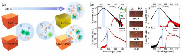 (a) A-site cation의 종류에 따라 저온에서 달라지는 광 특성을 표현한 모식도. (b) 300 K와 10 K에서 반사 (black) 및 투과 (red) 모드로 측정한 PL spectrum 변화. 무기 양이온을 포함한 CsPbBr3는 저온에서 라쉬바 효과가 없어지면서 확연한 색깔 변화를 보인다