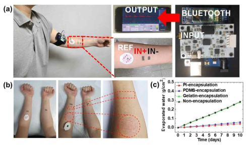 (a) 다중 자율 신경계 생체 신호 실시간 분석 모듈 (b) 상업용 전극과 유도 단백질 기반 생체 전극 사용 시 피부 염증 차이 (c) 유도 단백질 박막과 인공 고분자기판의 수증기 투과성