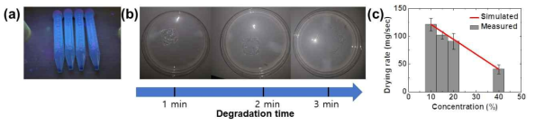 (a) UV photo-crosslinking을 진행하고 있는 유도 단백질의 optical image (b) Photo-crosslinking 된 유도 단백질 박막의 시간에 따른 가수분해 실험 (c) 유도 단백질 농도에 따른 건조 속도 그래프