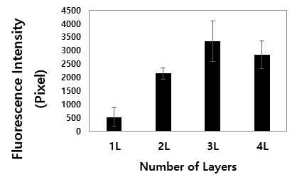 적층에따른 형광세기비교