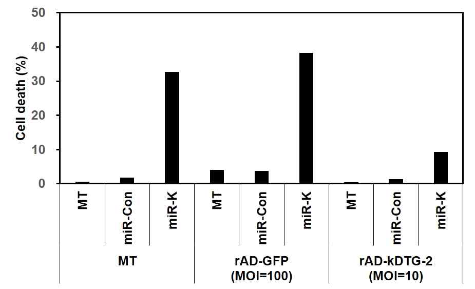 kDTG-2 과발현에 의한 miR-K 유발 사멸의 회복