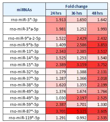 신경 줄기세포 사멸 유도 miRNA 추가 선별